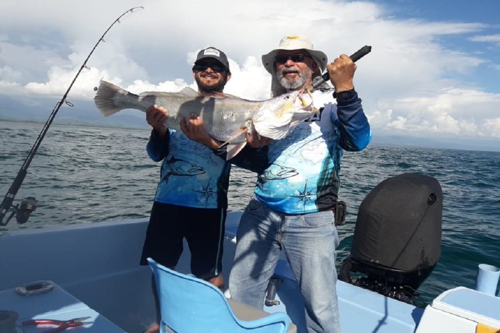 2d65b2e9-de40-45c5-923f-5c299a375a90