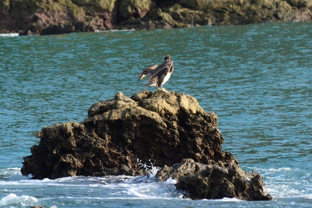 DSC_3036.jpg